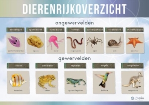 dierenrijkoverzicht